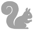 Squirrel Ultimate College Planner